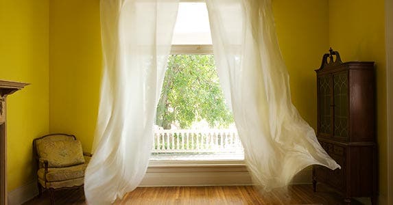 Window