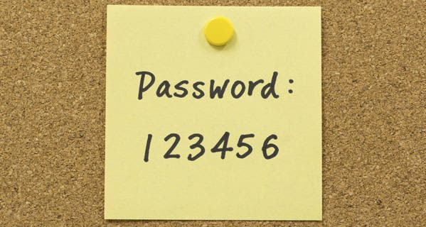 identity-protection-blog-how-id-thieves-target-your-password