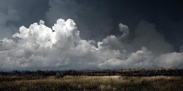 Fedorov Oleksiy/Shutterstock