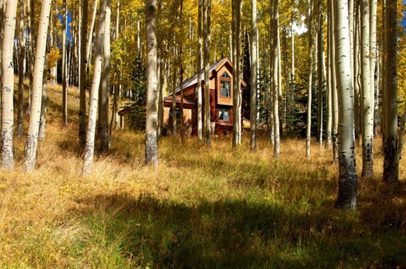 Trees | Realtor.com