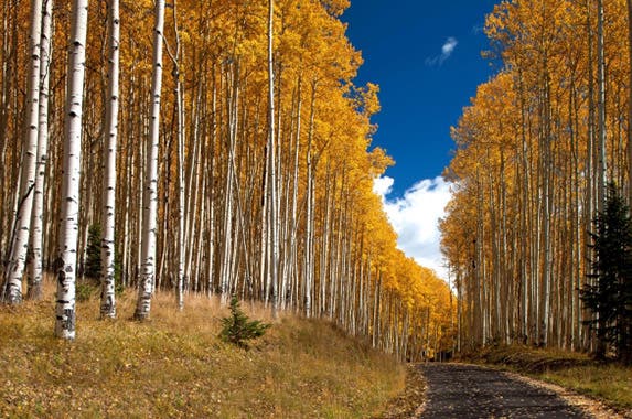 Road | Realtor.com
