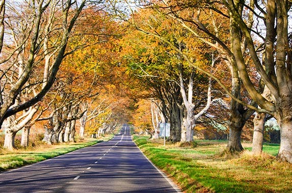 Fall season's top auto hazards Fall season's top auto hazards © Joe Dunckley/Shutterstock.com