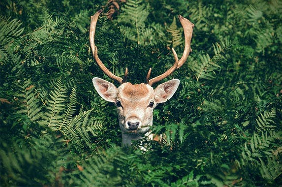 South Dakota South Dakota | Chris Greenhow/Unsplash