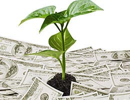 Tip No. 4: Save for retirement © Violetkaipa/Shutterstock.com