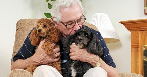 Solution No. 2: Pay off the mortgage © glenda/Shutterstock.com