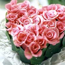 valentine day roses