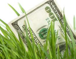 More frugal stories