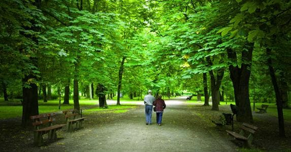Senior couple walking in a park in spring © Dariush M/Shutterstock.com