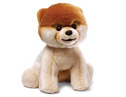 Boo -- The World's Cutest Dog