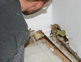Seek out water damage