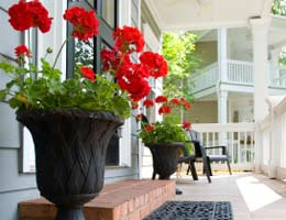 Potted flower plants by the door