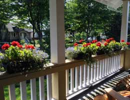Boxed plants on the porch