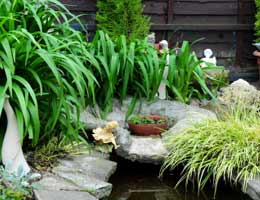 Indoor garden