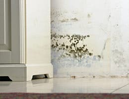 Drawbacks of buying foreclosed homes