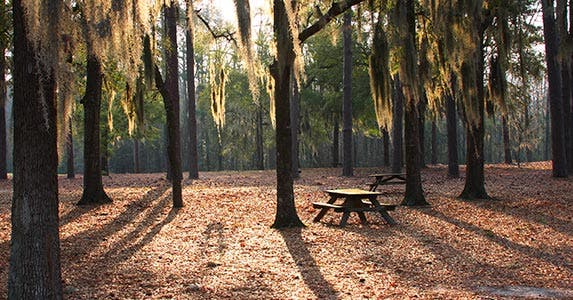 Florence, South Carolina Florence, South Carolina | DenisTangneyJr/Getty Images