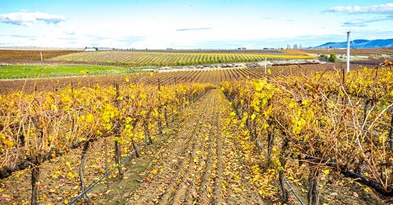 Yakima, Washington 3. Yakima, Washington | eastandwest/Shutterstock.com