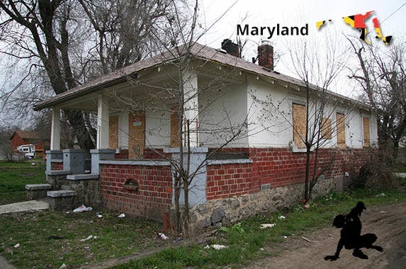 Maryland © iStock