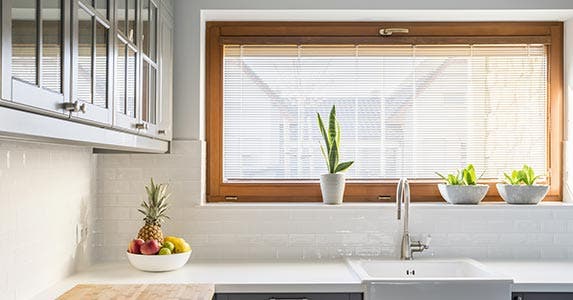 Window replacement (wood)