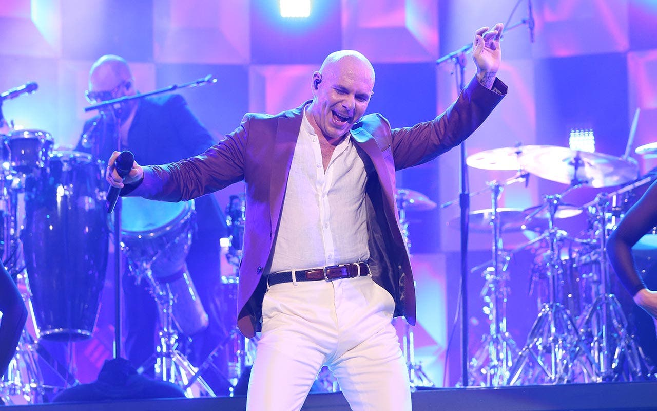 Pitbull Net Worth