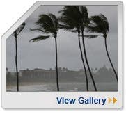 View Gallery