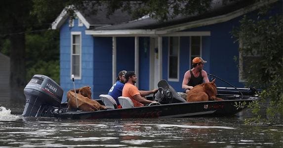 Got flood insurance? You probably need it Louisiana flood victims on boat | Joe Raedle/Getty Images