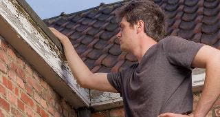 Young man inspecting roof © paul90g/Shutterstock.com