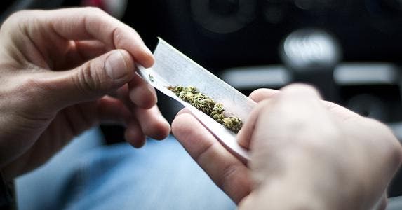 Marijuana © Nikita Starichenko/Shutterstock.com