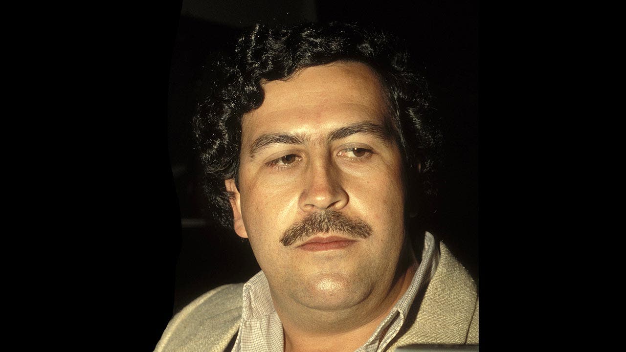 Pablo Escobar Room Full Of Money