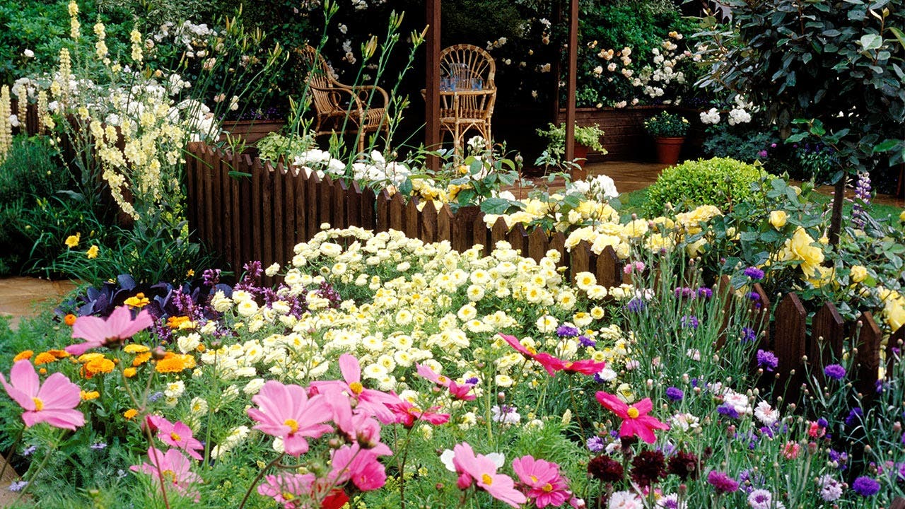June flowers