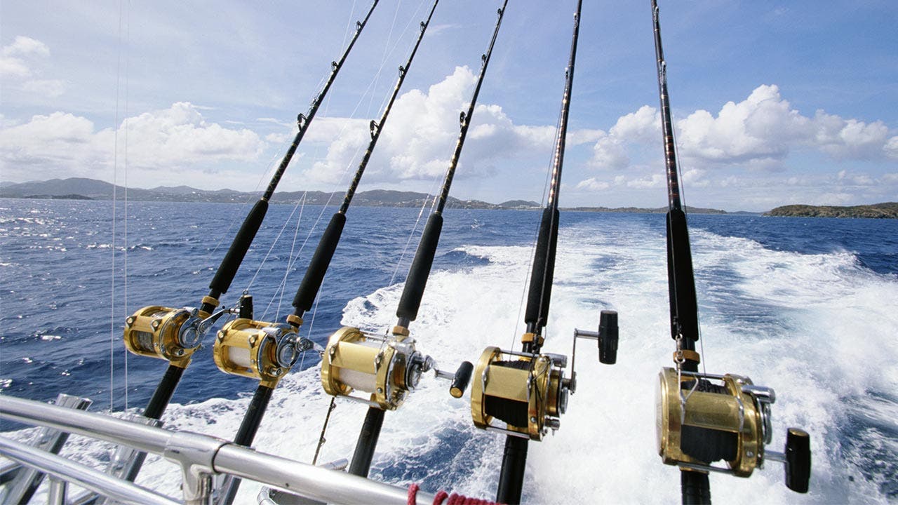 Fishing poles