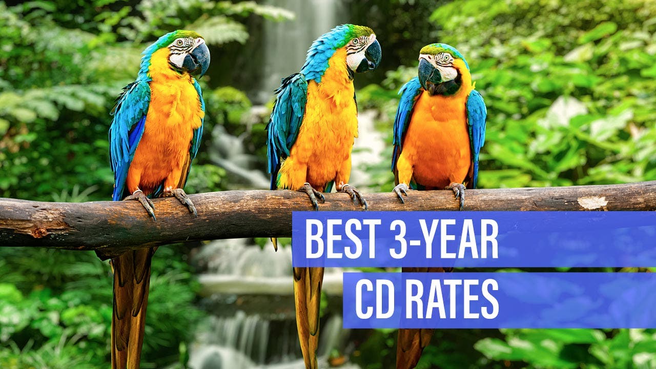 best cd interest rates