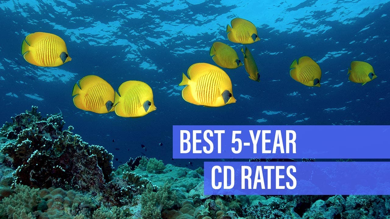 Best 5 Year Jumbo Cd Rates In Usa