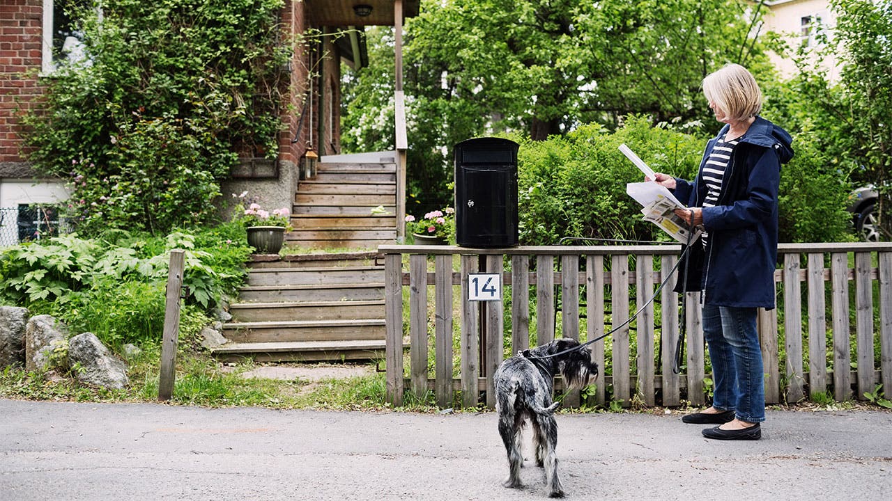 Woman walking dog checking mail