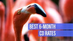 Best 6-month CD rates