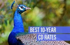 Picture of a peacock