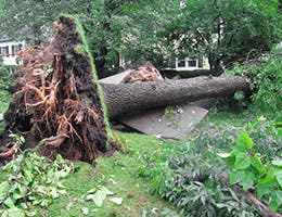 I thought that storm looked a little shifty © Jill Battaglia/Shutterstock.com