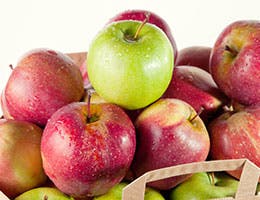 See also: Adam, Eve and apple © Nickola_Che/Shutterstock.com