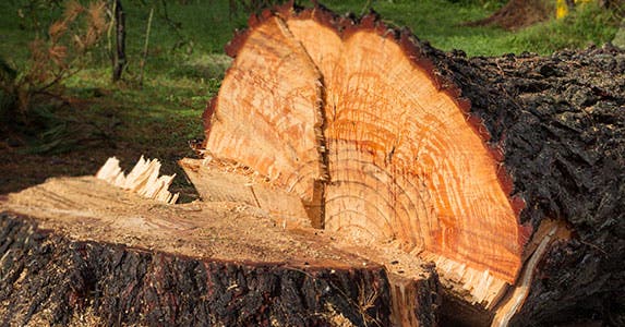 You can probably write off the green rebate, too © iStock