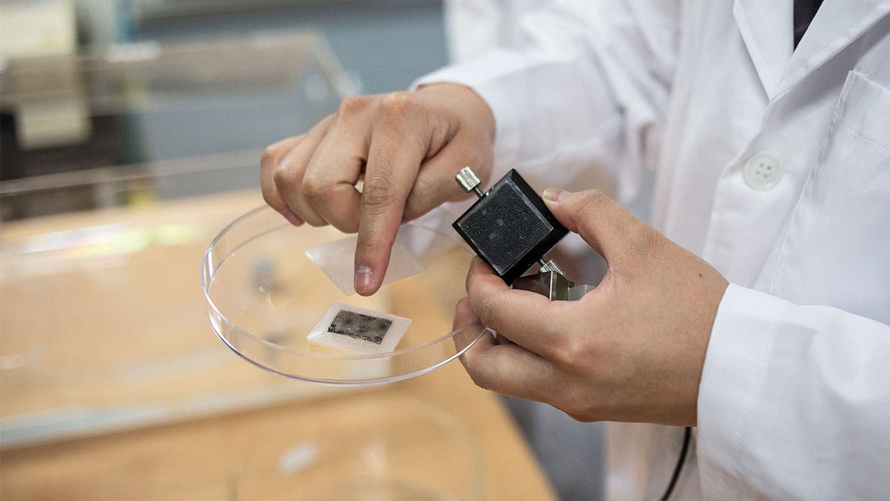 Working working with specimen in a dish