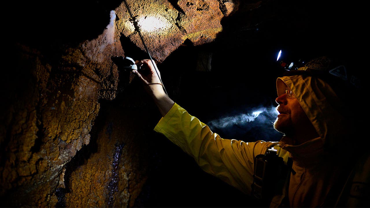 Geologist