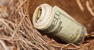 Roll of $20 bills in nest © martellostudio/Shutterstock.com