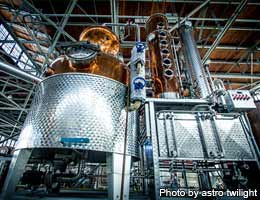 Distill, thy neighbor