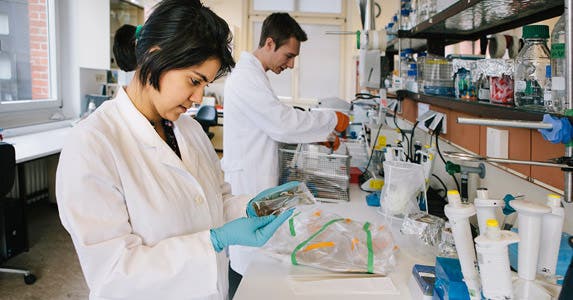 YourEncore: Scientists for hire © iStock