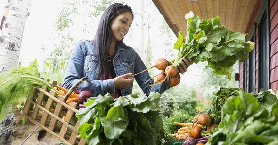 Will I Save Money By Joining an Organic Vegetable Club?