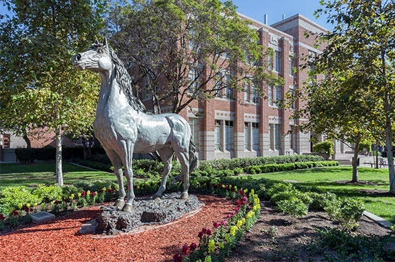 University of Southern California University of Southern California © Ken Wolter/Shutterstock.com