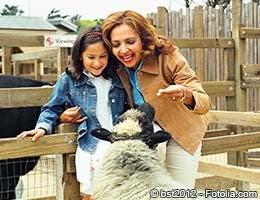 Museum and zoo memberships
