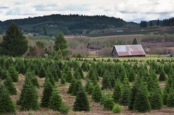 Oregon © Vlue/Shutterstock.com