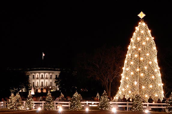 Washington, D.C. © Robert Crow/Shutterstock.com