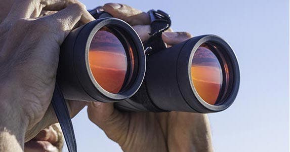 Mistake: Overlooking your options Mistake: Overlooking your options © valeriiaarnaud/Shutterstock.com