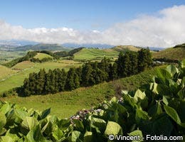 The Portuguese Azores